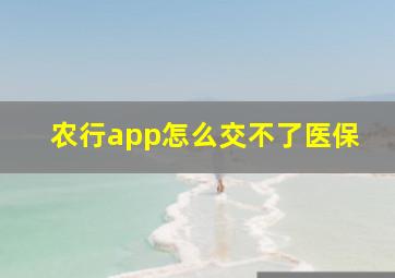 农行app怎么交不了医保