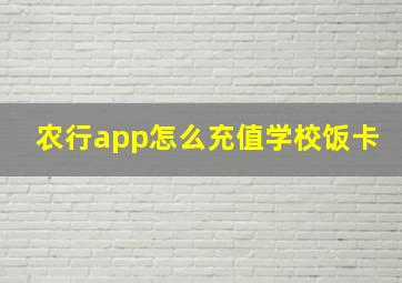 农行app怎么充值学校饭卡