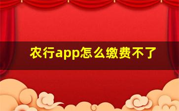 农行app怎么缴费不了