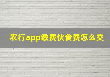 农行app缴费伙食费怎么交