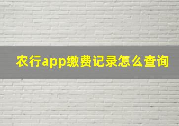 农行app缴费记录怎么查询