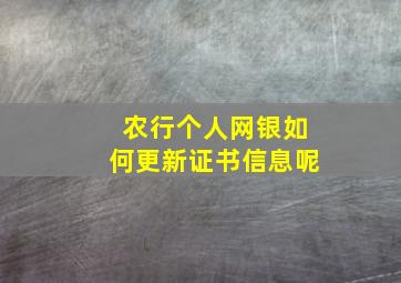 农行个人网银如何更新证书信息呢