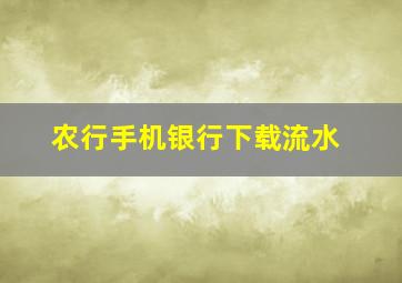 农行手机银行下载流水