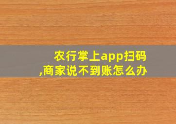 农行掌上app扫码,商家说不到账怎么办