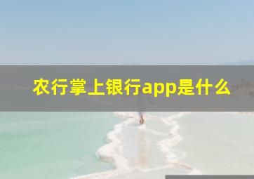 农行掌上银行app是什么