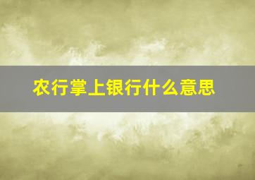 农行掌上银行什么意思