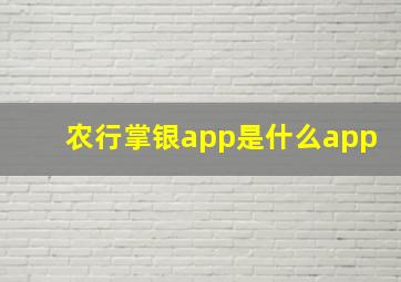 农行掌银app是什么app