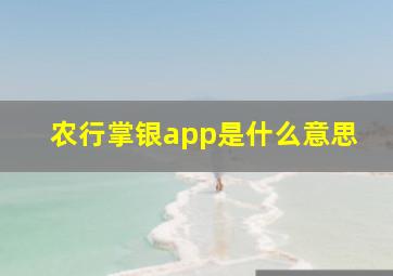 农行掌银app是什么意思