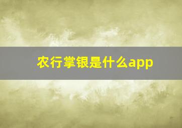 农行掌银是什么app