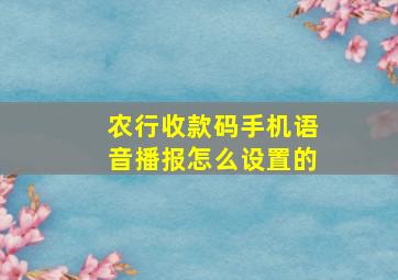 农行收款码手机语音播报怎么设置的