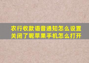 农行收款语音通知怎么设置关闭了呢苹果手机怎么打开