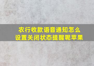 农行收款语音通知怎么设置关闭状态提醒呢苹果