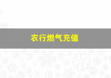 农行燃气充值