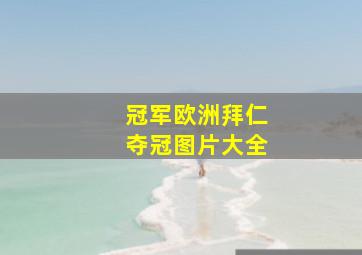 冠军欧洲拜仁夺冠图片大全