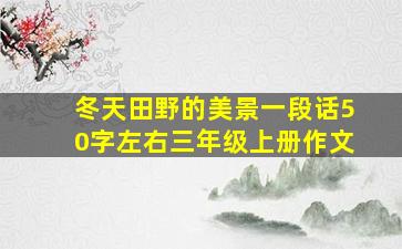 冬天田野的美景一段话50字左右三年级上册作文