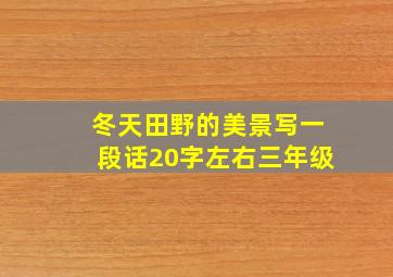 冬天田野的美景写一段话20字左右三年级