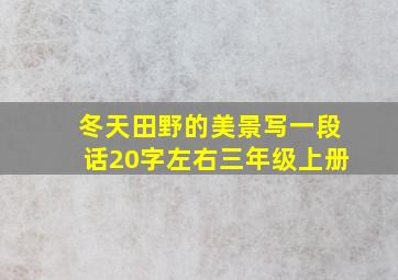 冬天田野的美景写一段话20字左右三年级上册