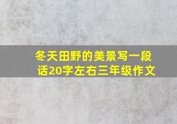 冬天田野的美景写一段话20字左右三年级作文