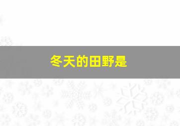 冬天的田野是