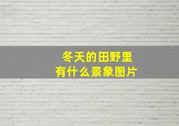 冬天的田野里有什么景象图片