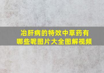 冶肝病的特效中草药有哪些呢图片大全图解视频