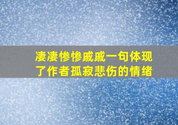 凄凄惨惨戚戚一句体现了作者孤寂悲伤的情绪