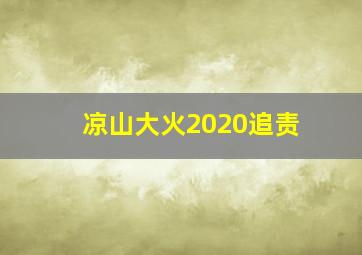 凉山大火2020追责