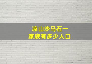 凉山沙马石一家族有多少人口