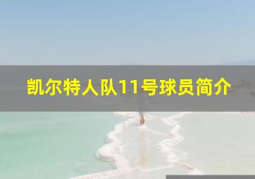 凯尔特人队11号球员简介