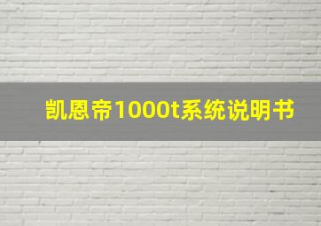 凯恩帝1000t系统说明书