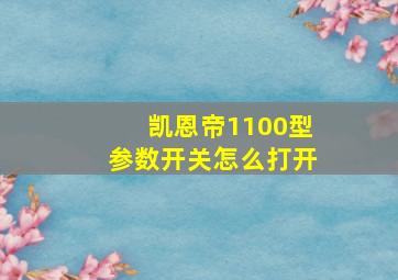 凯恩帝1100型参数开关怎么打开