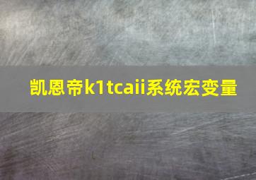 凯恩帝k1tcaii系统宏变量