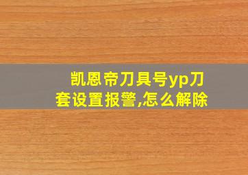 凯恩帝刀具号yp刀套设置报警,怎么解除