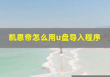 凯恩帝怎么用u盘导入程序