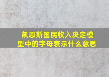 凯恩斯国民收入决定模型中的字母表示什么意思