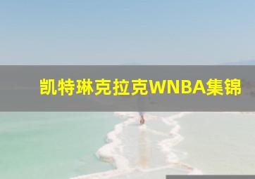 凯特琳克拉克WNBA集锦