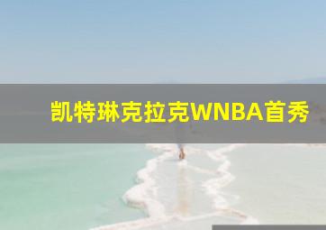 凯特琳克拉克WNBA首秀