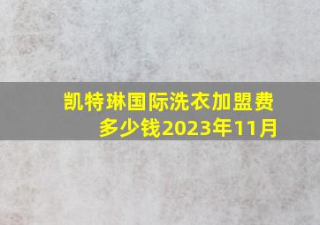 凯特琳国际洗衣加盟费多少钱2023年11月