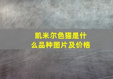 凯米尔色猫是什么品种图片及价格