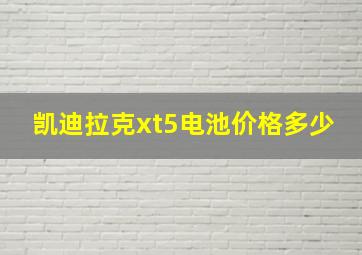 凯迪拉克xt5电池价格多少