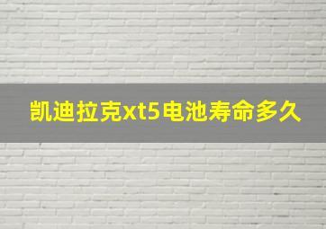 凯迪拉克xt5电池寿命多久