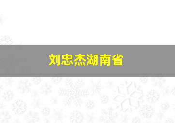 刘忠杰湖南省