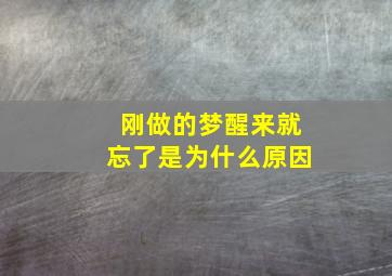 刚做的梦醒来就忘了是为什么原因