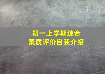 初一上学期综合素质评价自我介绍