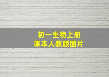 初一生物上册课本人教版图片