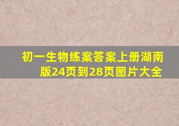 初一生物练案答案上册湖南版24页到28页图片大全