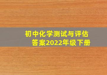 初中化学测试与评估答案2022年级下册