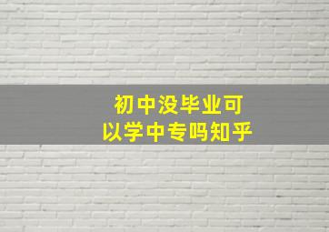 初中没毕业可以学中专吗知乎