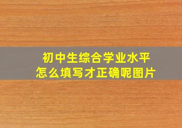 初中生综合学业水平怎么填写才正确呢图片