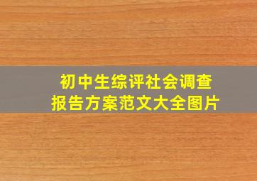 初中生综评社会调查报告方案范文大全图片